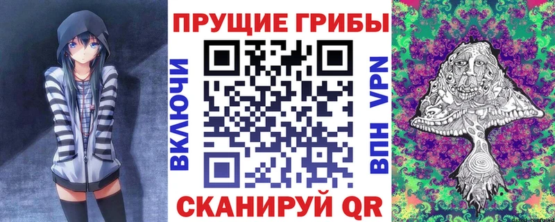 Псилоцибиновые грибы Cubensis  Суджа 