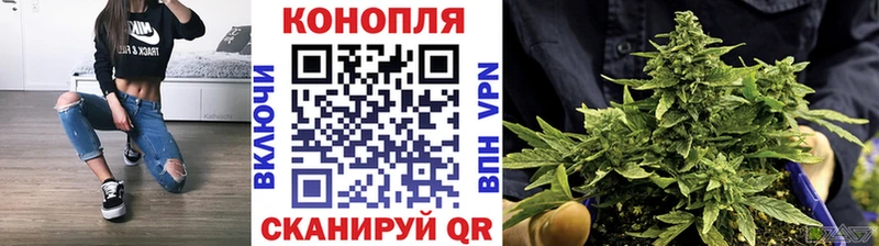 Бошки марихуана VHQ  Суджа 